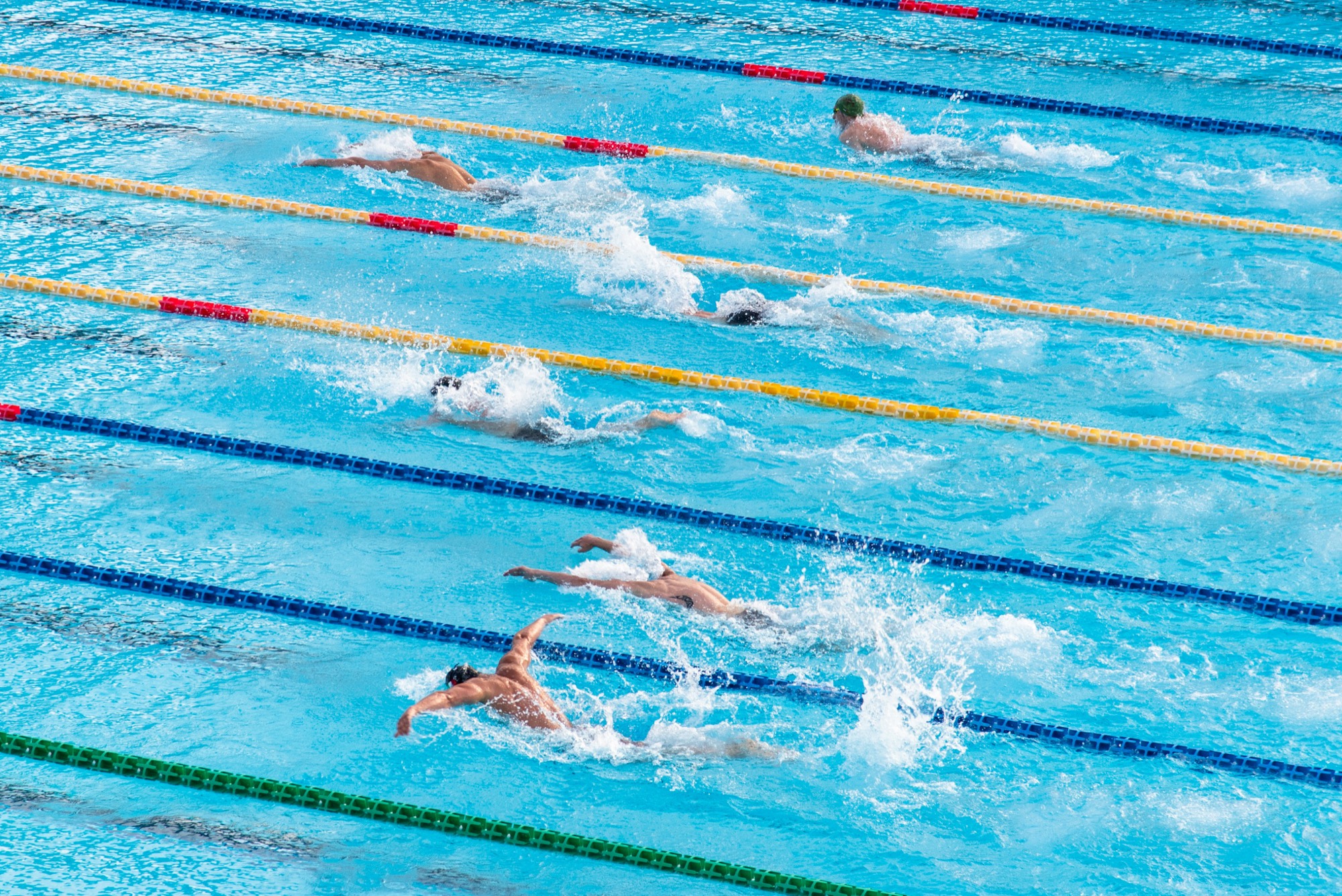 Swimmers racing in a 50m outdoor pool, seen from above